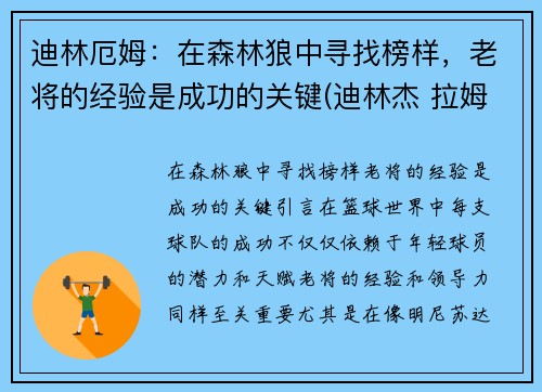 迪林厄姆：在森林狼中寻找榜样，老将的经验是成功的关键(迪林杰 拉姆)